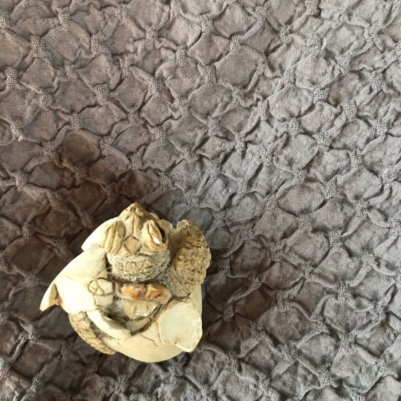 Adorable little turtle hatchling from 1990. - Picture 7 of 8